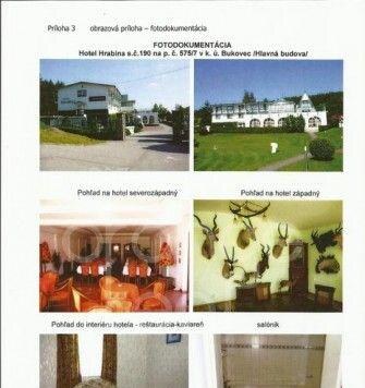 ID2829 - Hotel Hrabina s rekreačným areálom a príslušenstvom pri obci — foto 2