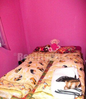 3 izbový byt Púchov Chmelinec na PREDAJ, výmera 60 m2 čiastočná rekonštrukcia — foto 3