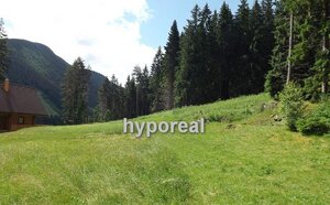 Stavebné pozemky pre výstavbu chát v Jánskej Doline — foto 2
