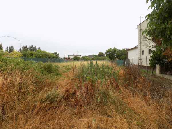 Na predaj rovinatý pozemok  v obci Bíňa -1088m2 pri Štúrove .