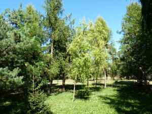 Predaj, dom, pozemok, usadlosť, Rastislavice — foto 17