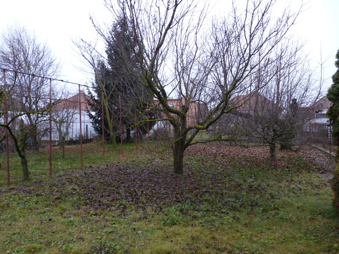 Predaj, rodinný dom, Hurbanovo — foto 6