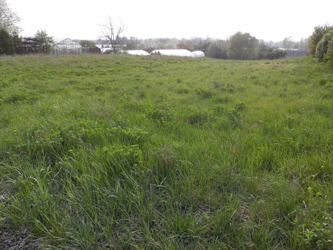 Predaj, stavebný pozemok, komerčný, Hurbanovo — foto 3