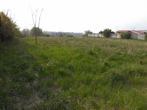 Predaj, stavebný pozemok, komerčný, Hurbanovo — foto 1