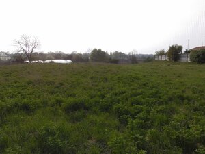 Predaj, stavebný pozemok, komerčný, Hurbanovo — foto 2