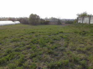 Predaj, stavebný pozemok, komerčný, Hurbanovo — foto 5