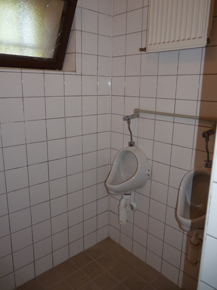 Predaj, reštaurácia, obchodný priestor, Veľké Leváre — foto 14