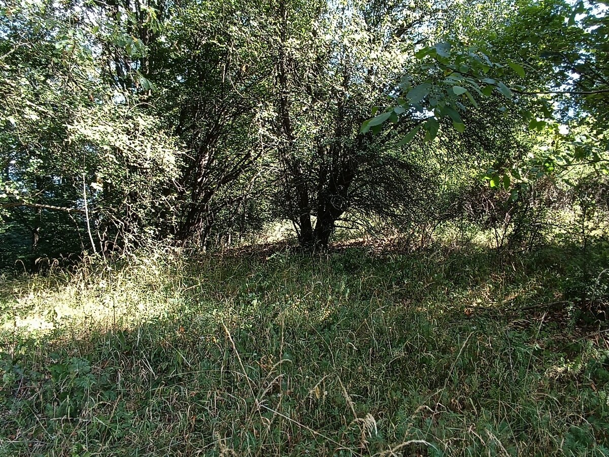 Na predaj pozemok v lese Hrabičov — foto 7