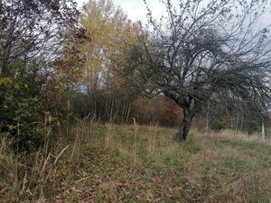 Rekreačný pozemok pri potôčiku — foto 2