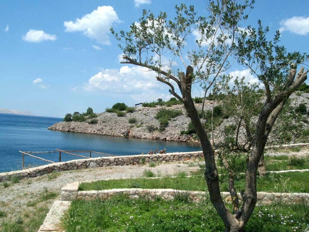 LUXUSNÁ KAMENNÁ VILA PRIAM NA PLÁŽI, STARIGRAD/PAKLENICA — foto 7