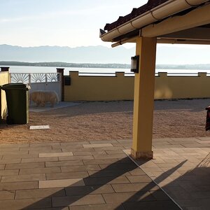 APARTMÁNOVÝ DOM V 1. RADE PRI MORI, NIN — foto 13