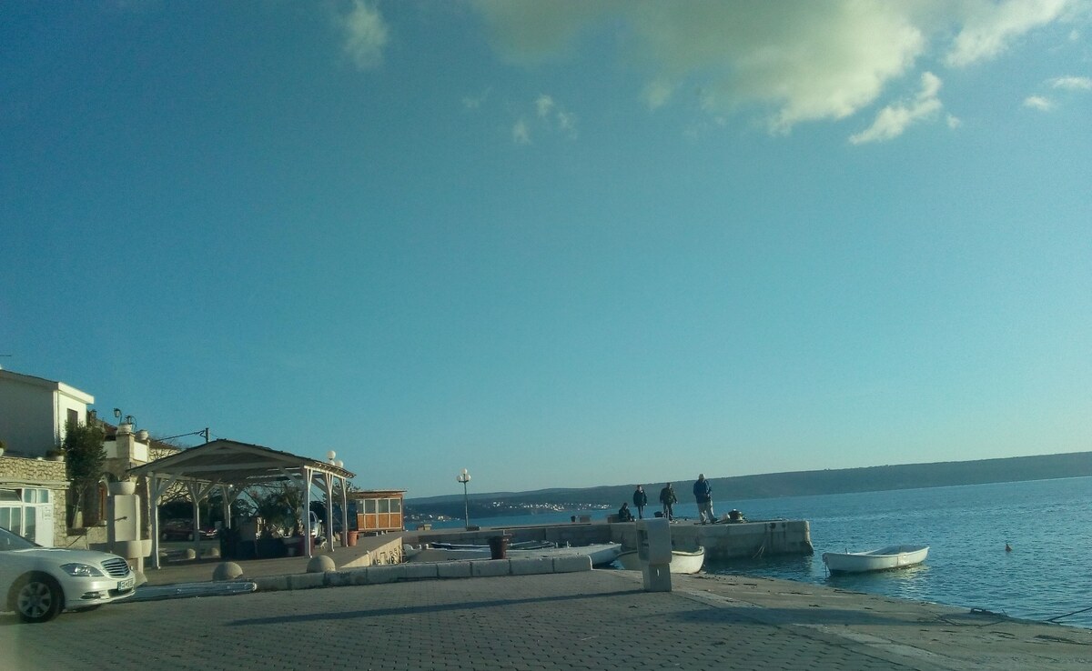 STAVEBNÍ PARCELA - MASLENICA — foto 6
