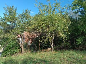 NA PREDAJ  RODINNÝ DOM  V OBCI BREHY — foto 18