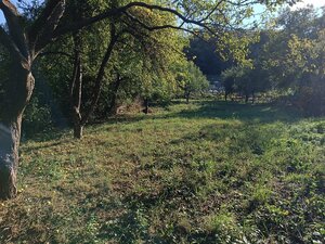 NA PREDAJ  RODINNÝ DOM  V OBCI BREHY — foto 19