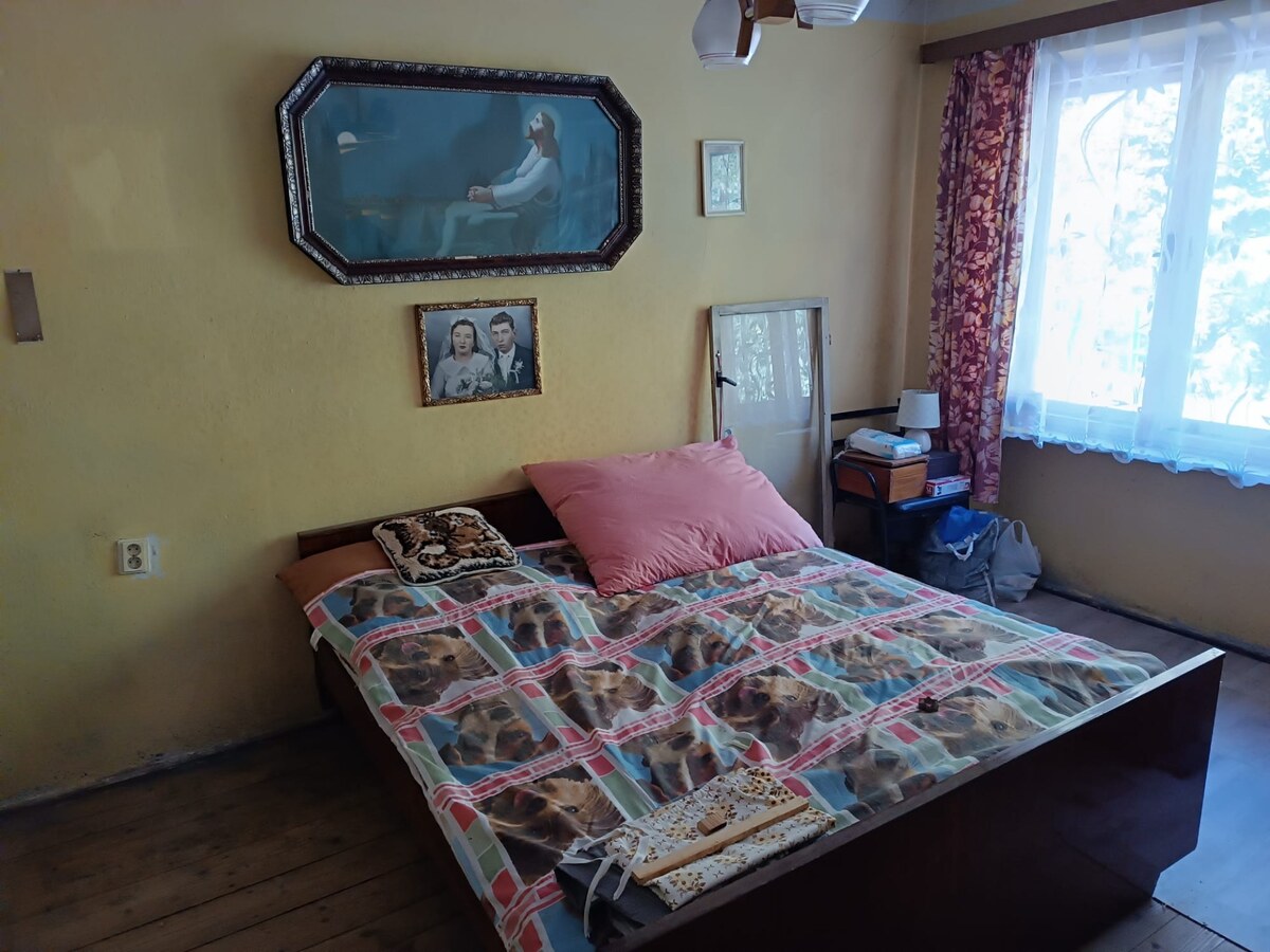 VEĽKÝ POZEMOK 2 321 m² | STARŠÍ DOM | ŽARNOVICA – LUKAVICA — foto 7