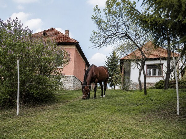NA PREDAJ _ dva domy _ 73m² a 41m² _  pozemok 3000m²_Szőlősardó