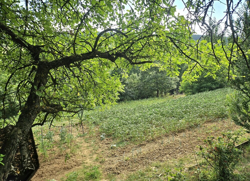 3 izbový byt KŠINNÁ -71m2 - so ZÁHRADOU/ LOGGIA /PIVNICA — foto 8