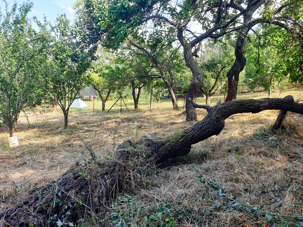 Investičný pozemok "záhrada" o výmere 691 m2 - Nové Mesto n/V — foto 4