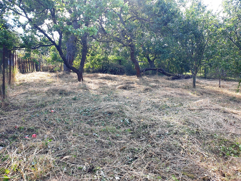 Investičný pozemok "záhrada" o výmere 691 m2 - Nové Mesto n/V — foto 7