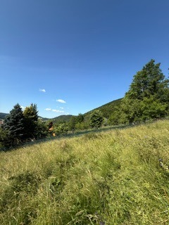 KRÁSNY rekreačný pozemok 709 m2 Zliechov - SUPER CENA — foto 17