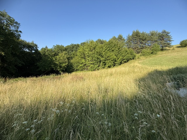 Veľký rekreačný pozemok s chatkou, Streženice (Púchov), 2400 m2 — foto 5