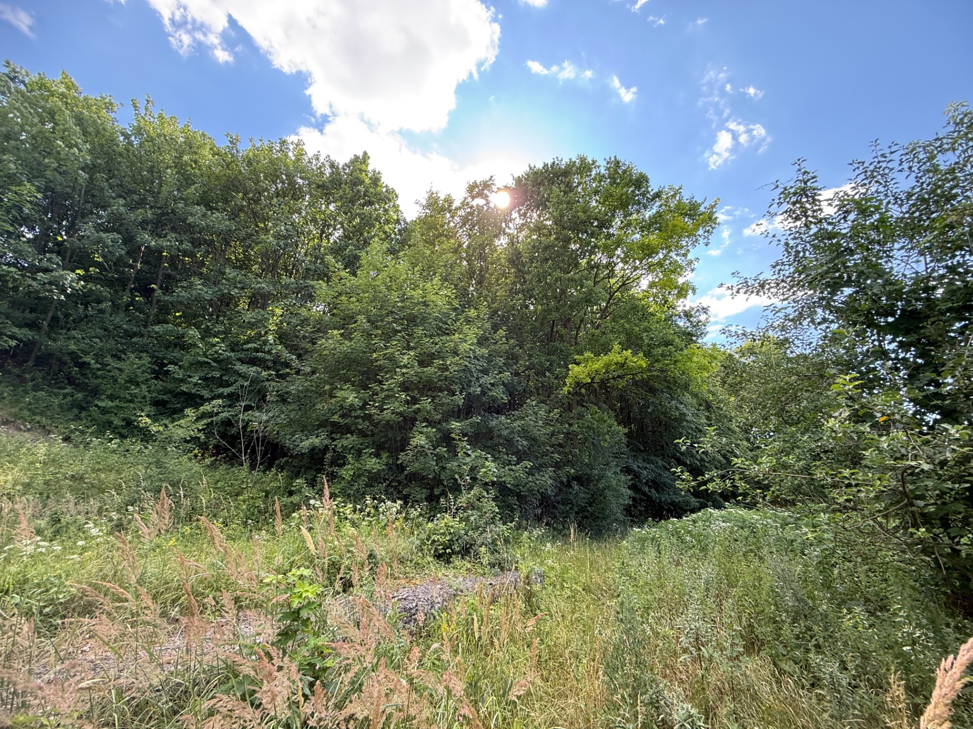 Jedinečný pozemok v krásnom prírodnom prostredí – 2,3 ha, Myjava — foto 4
