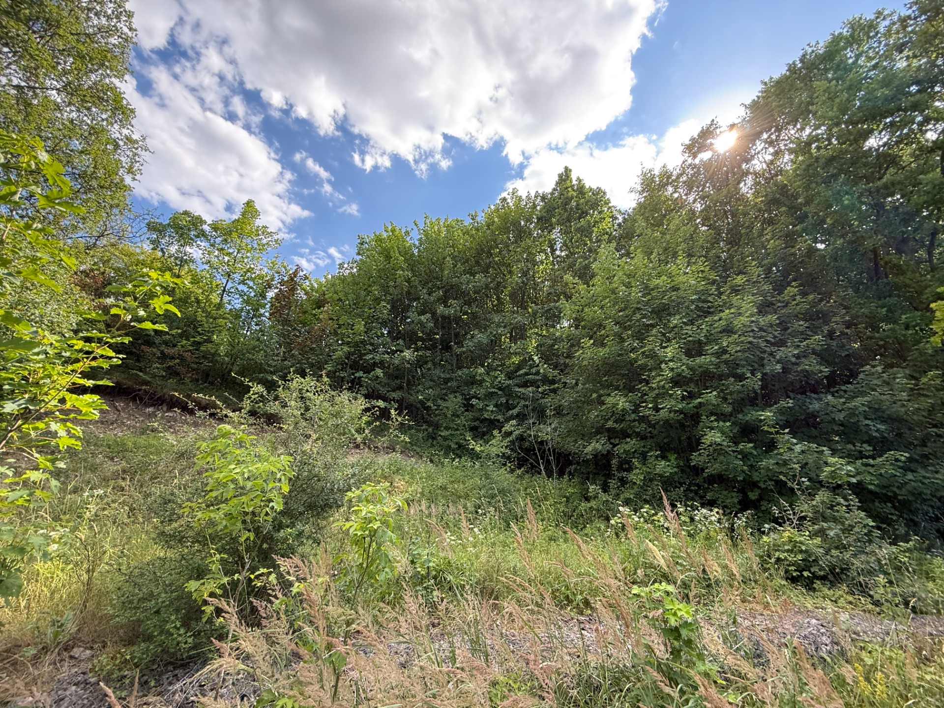 Jedinečný pozemok v krásnom prírodnom prostredí – 2,3 ha, Myjava — foto 5