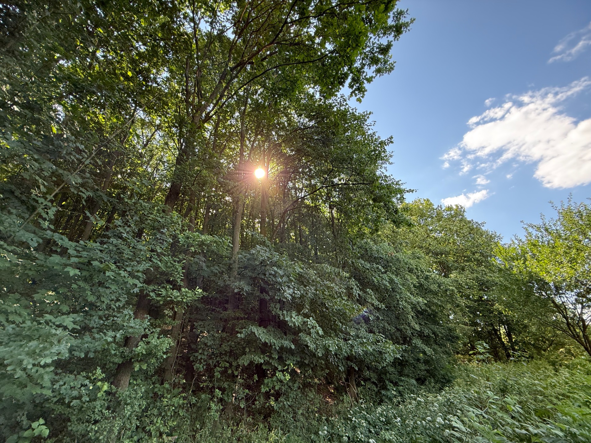 Jedinečný pozemok v krásnom prírodnom prostredí – 2,3 ha, Myjava — foto 6