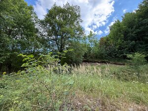 Jedinečný pozemok v krásnom prírodnom prostredí – 2,3 ha, Myjava — foto 1