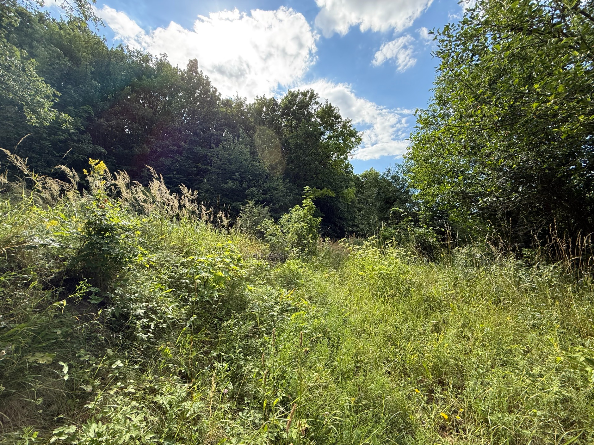 Jedinečný pozemok v krásnom prírodnom prostredí – 2,3 ha, Myjava — foto 2