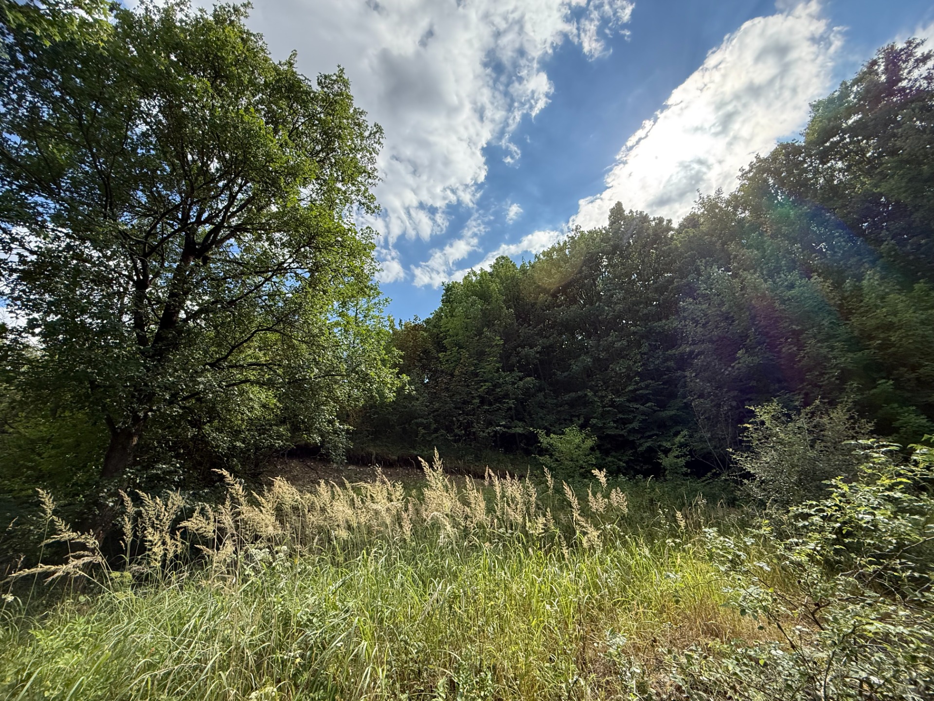 Jedinečný pozemok v krásnom prírodnom prostredí – 2,3 ha, Myjava — foto 3