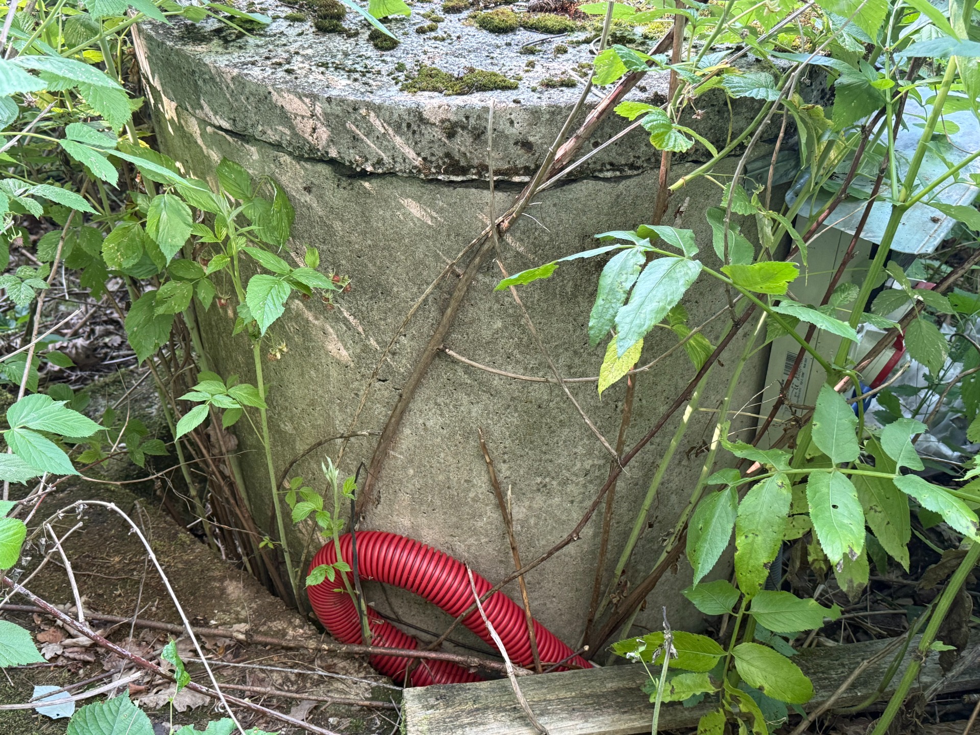 Jedinečný pozemok v krásnom prírodnom prostredí – 2,3 ha, Myjava — foto 8