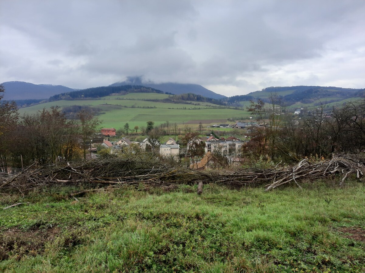 pozemok 4770m2 v obci Dolný Lieskov