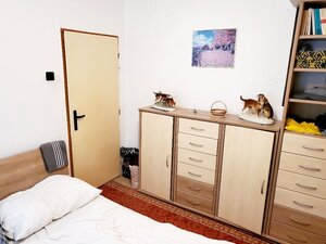 2 izbový  byt  Bánovce nad Bebravou, CENTRUM, 52 m2 ,LOGGIA ,PIVNICA — foto 3