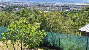 Záhradná chata s príslušenstvom a pozemkom 402 m2 - Nové Mesto n/V — foto 8