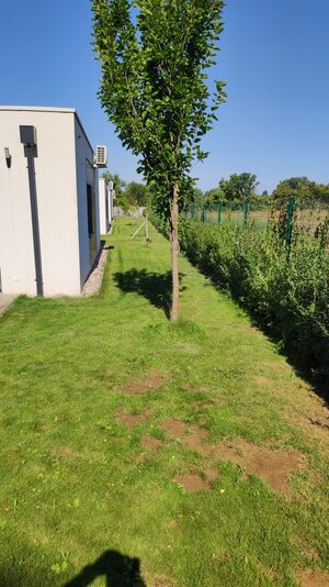 Predám 4-izbovú novostavbu typu bungalov, Moravany nad Váhom — foto 12