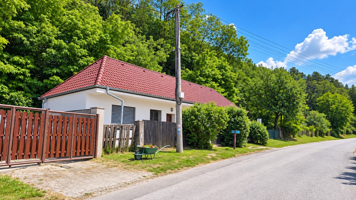 ZREKONŠTRUOVANÝ A ZARIADENÝ DOM 2 + kk • POZEMOK 1 112 m² • LÚKA — foto 14