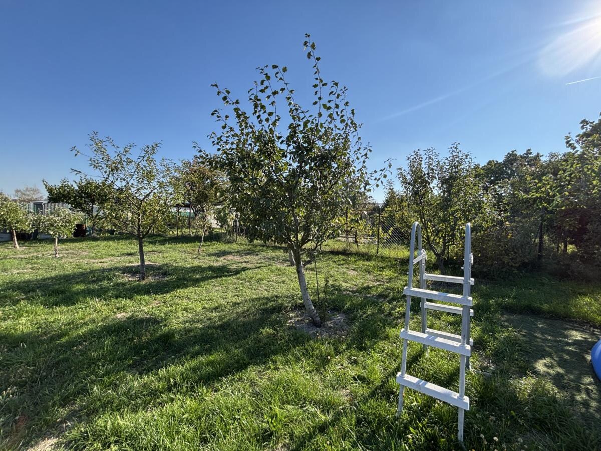 Veľká slnečná záhrada 650 m² – chatka, elektrina a vlastná studňa – Žabí Majer — foto 16