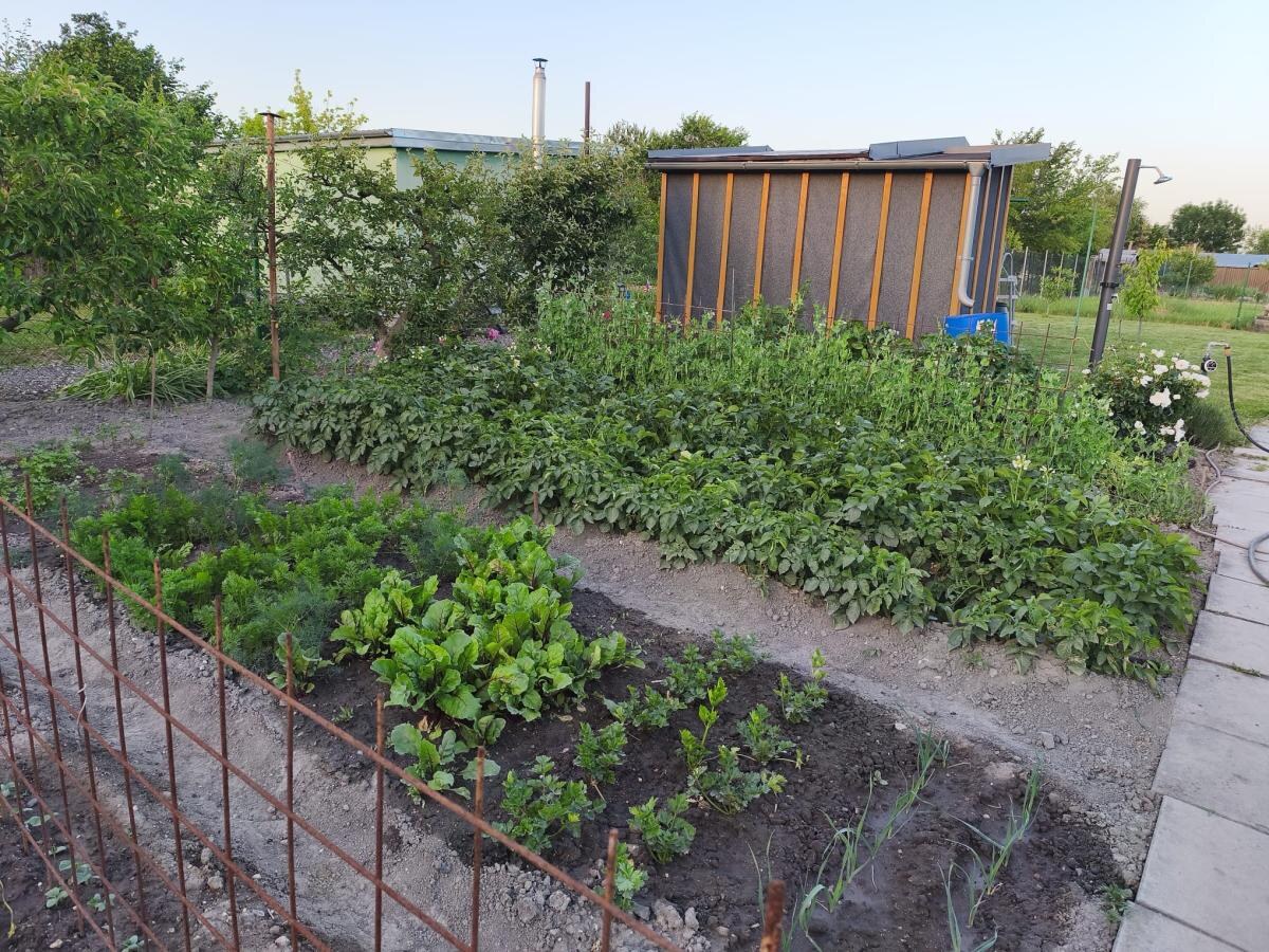 Veľká slnečná záhrada 650 m² – chatka, elektrina a vlastná studňa – Žabí Majer — foto 23
